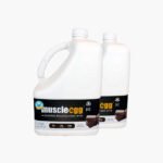 Muscle Egg Chocolate